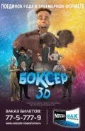 Боксер 3D (2004) онлайн бесплатно